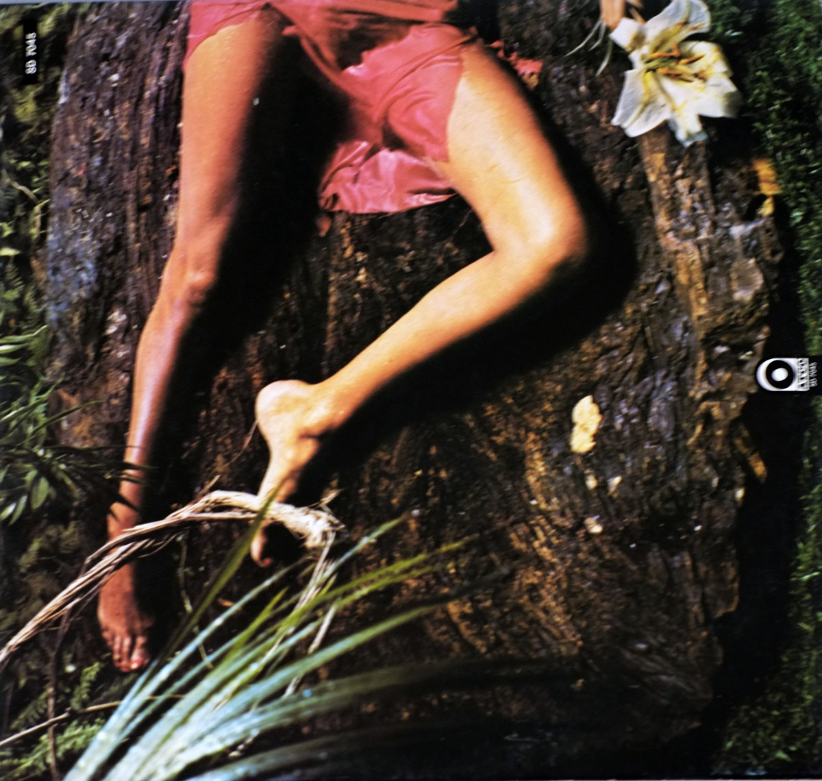 High Resolution Photos of ROXY Music Stranded 