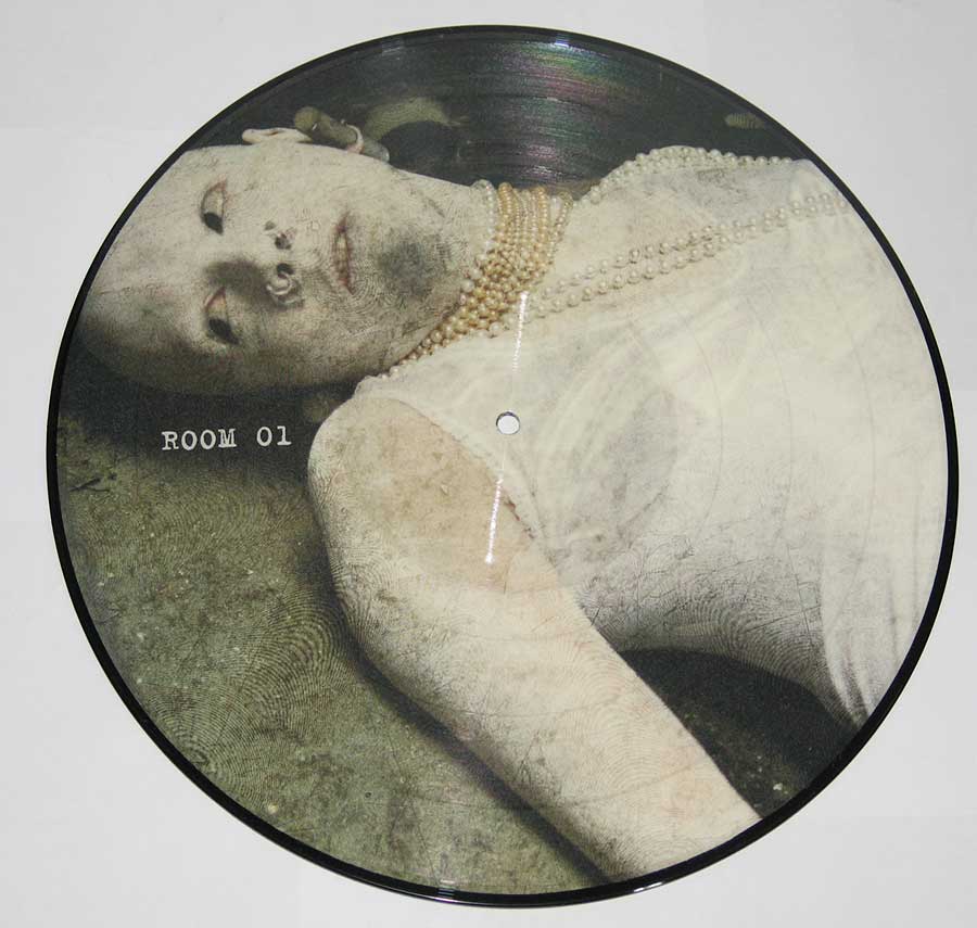 SOPOR AETERNUS - La Chambre d'Echo Anna Varney 12" Vinyl Picture Disc LP Album vinyl lp record 