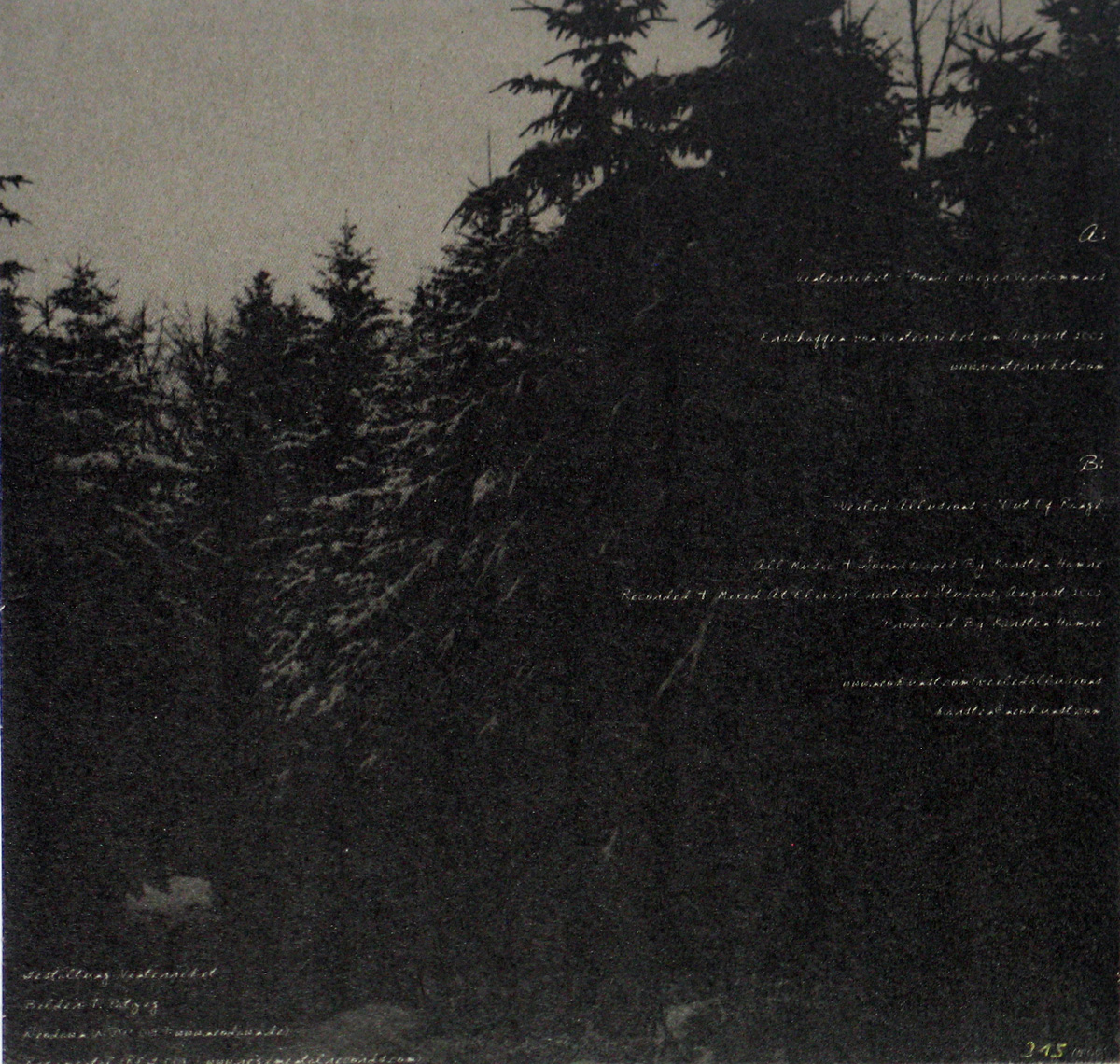 Vinterriket Veiled allusions  back cover