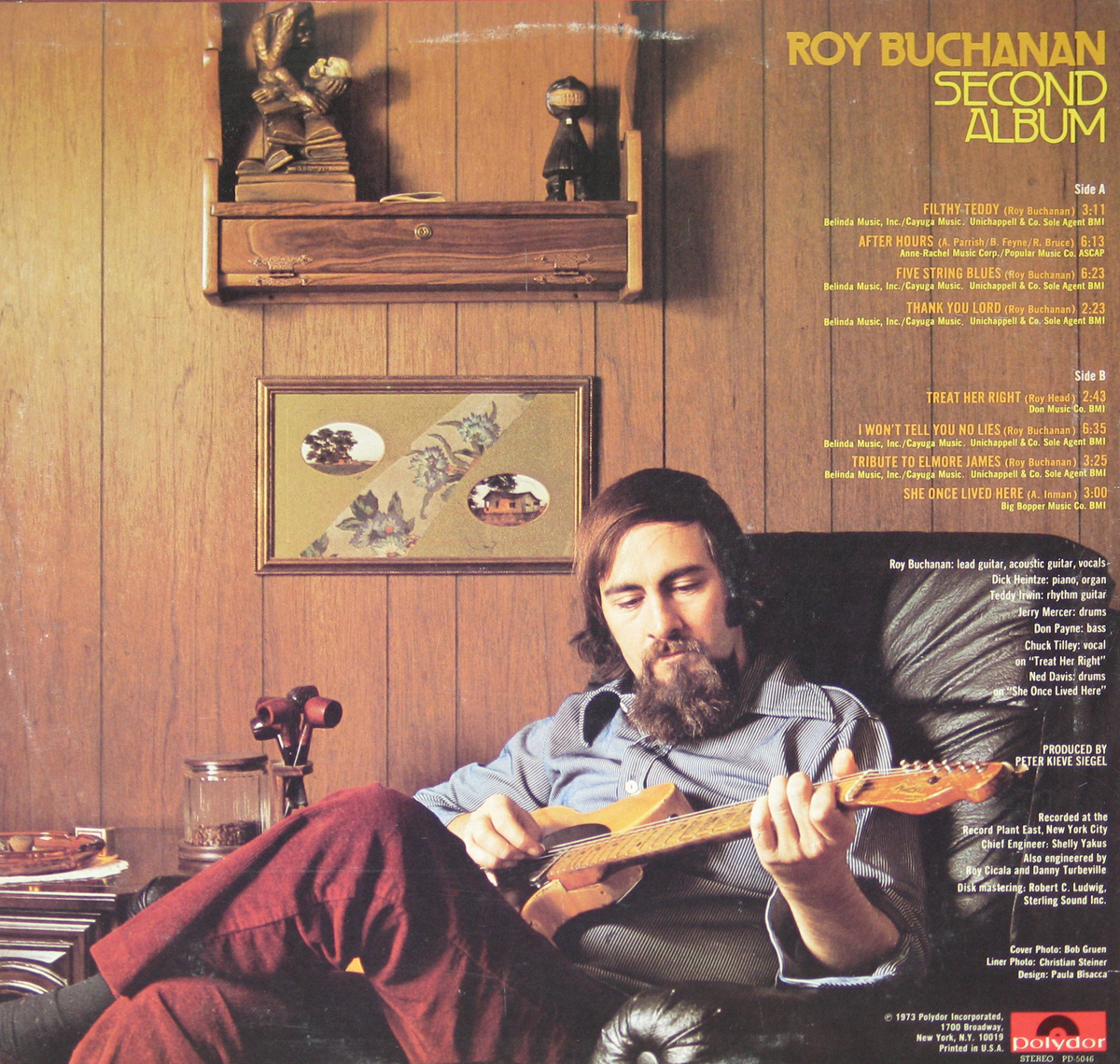 Roy Buchanan Second Album back cover featuring Roy Buchanan playing guitar in a wood-paneled room, with track listing and credits in yellow text on the right