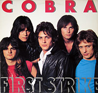 Cover image of First-Strike-15Thumb