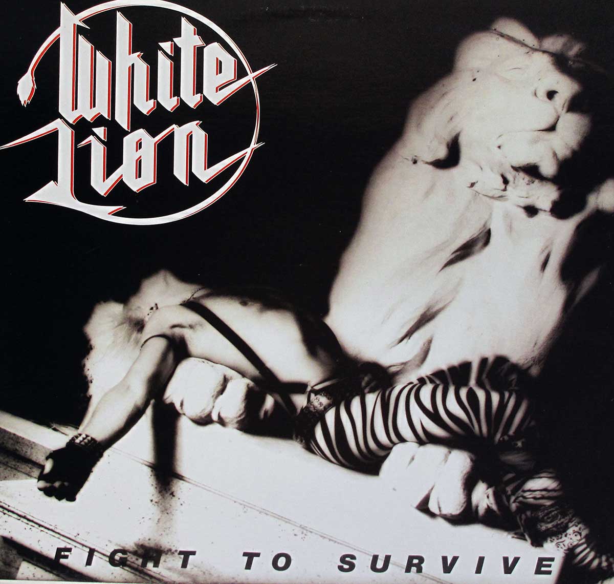 Album cover of White Lion’s Fight to Survive featuring a dramatic black and white design with the band’s logo in angular lettering at the top left, a lion statue in the background, and a reclining figure in striped pants and a leather glove in the foreground, evoking themes of strength and survival.