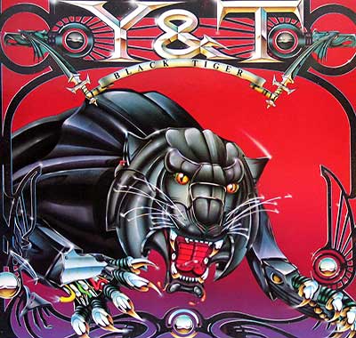 Thumbnail Of  Y&T - Black Tiger  12" Vinyl LP  album front cover