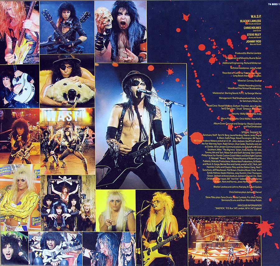 High Resolution Photos of wasp live raw france 