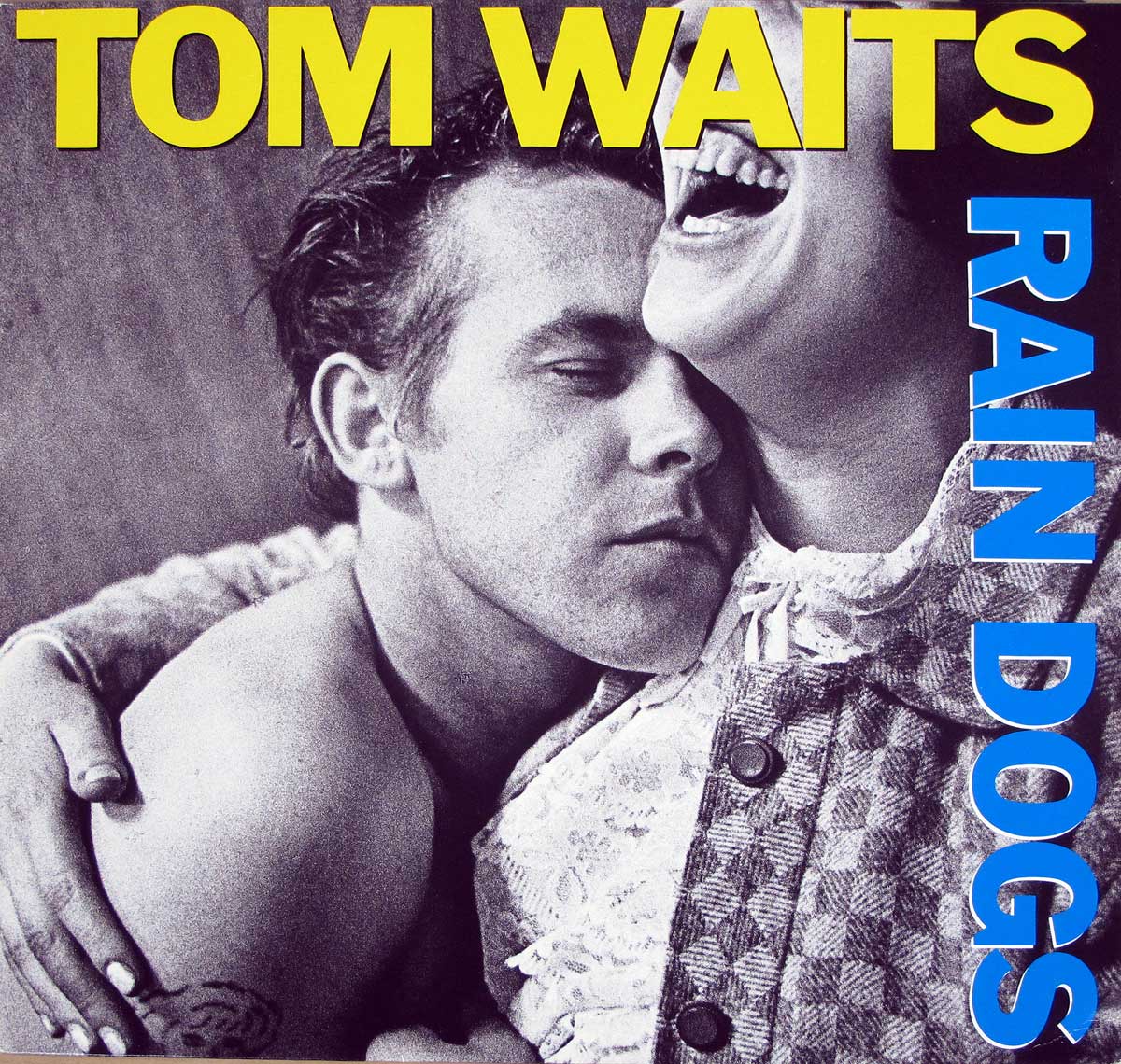 large photo of the album front cover