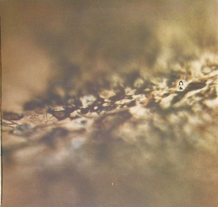 TANGERINE DREAM - Rubycon England Release 12" Vinyl LP Album album back cover