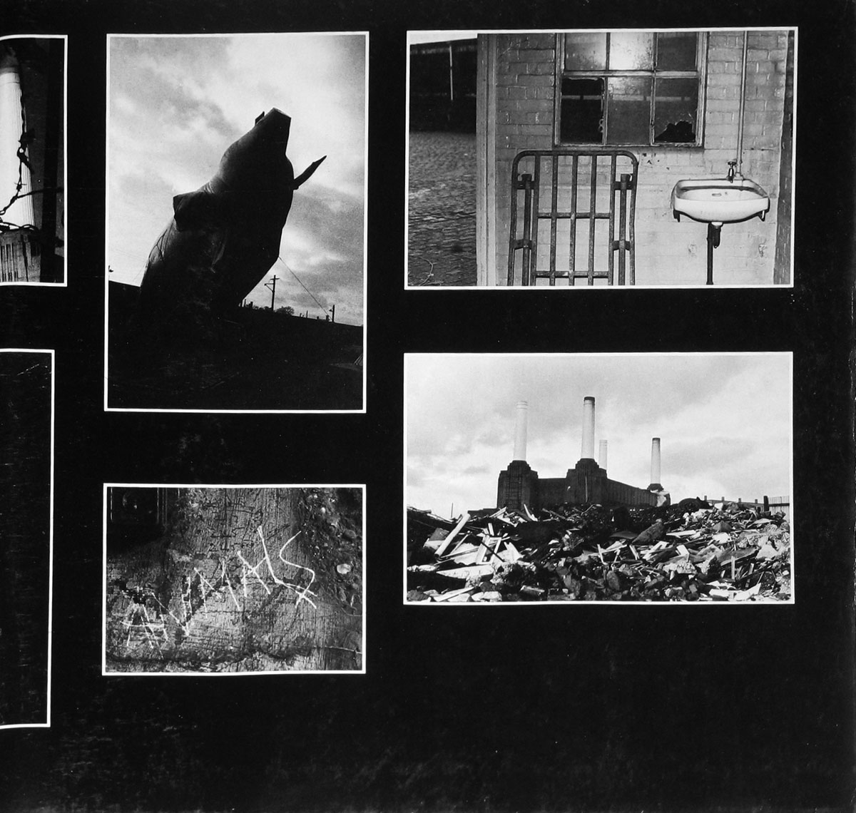 High Resolution Photo #3 Pink Floyd Animals Germany DE1 