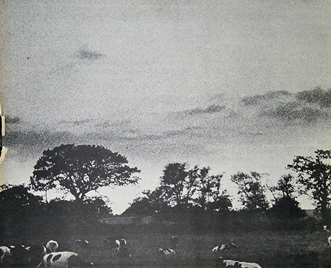 Album inner cover photo https://vinyl-records.nl// Atom Heart Mother 