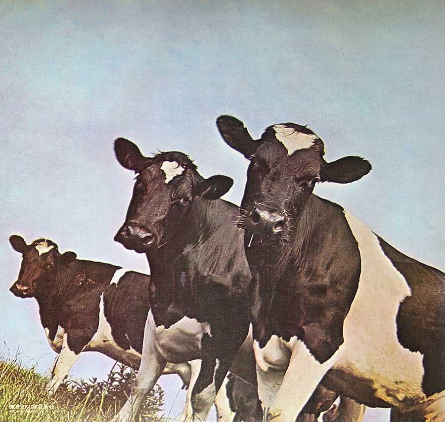 High Resolution Photo #2 PINK FLOYD Atom Heart Japan 