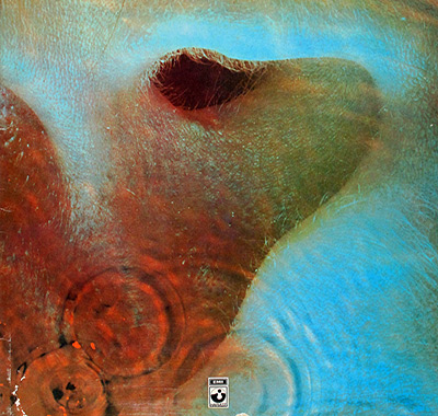 Thumbnail Of PINK FLOYD - Meddle album front cover