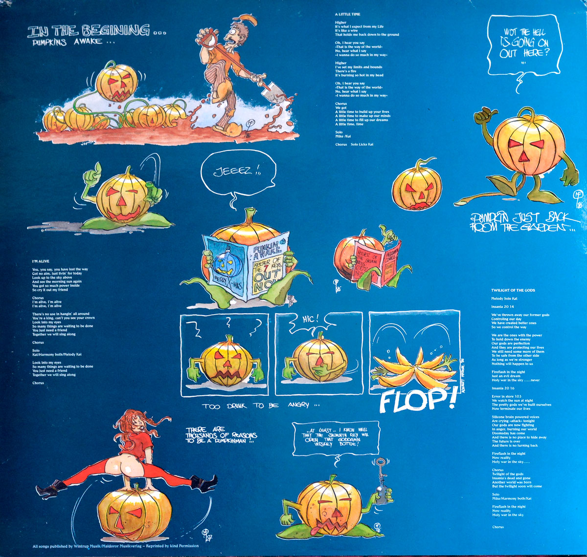 High Resolution Photo of Album Cover, Inners, Vinyl and Record labels 