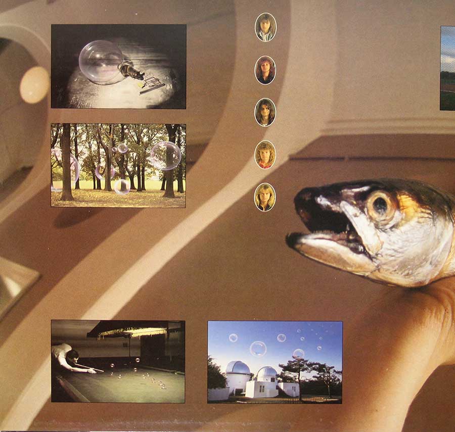 High Resolution Photo of Album Cover, Inners, Vinyl and Record labels 