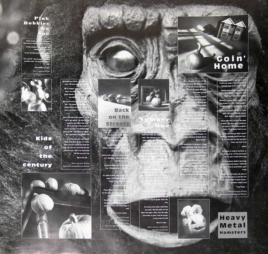 High Resolution Photo of Album Cover, Inners, Vinyl and Record labels 