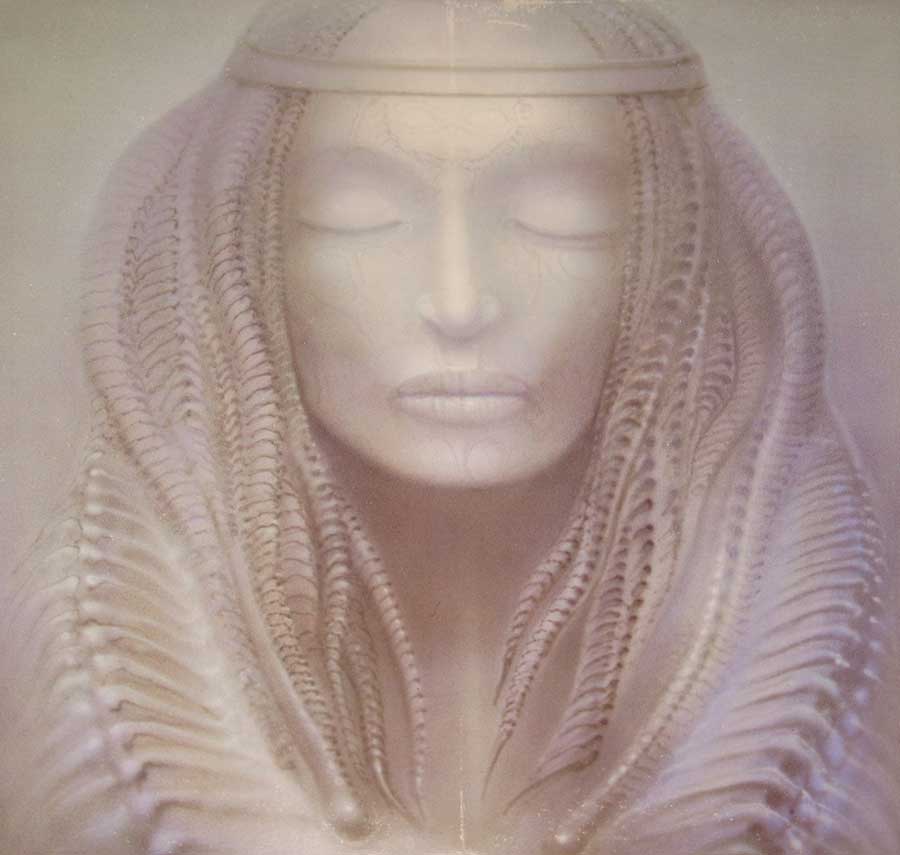 High Resolution Photo elp brain salad surgery england 