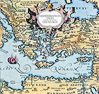 thumbnail of front cover click image to view entire webpage