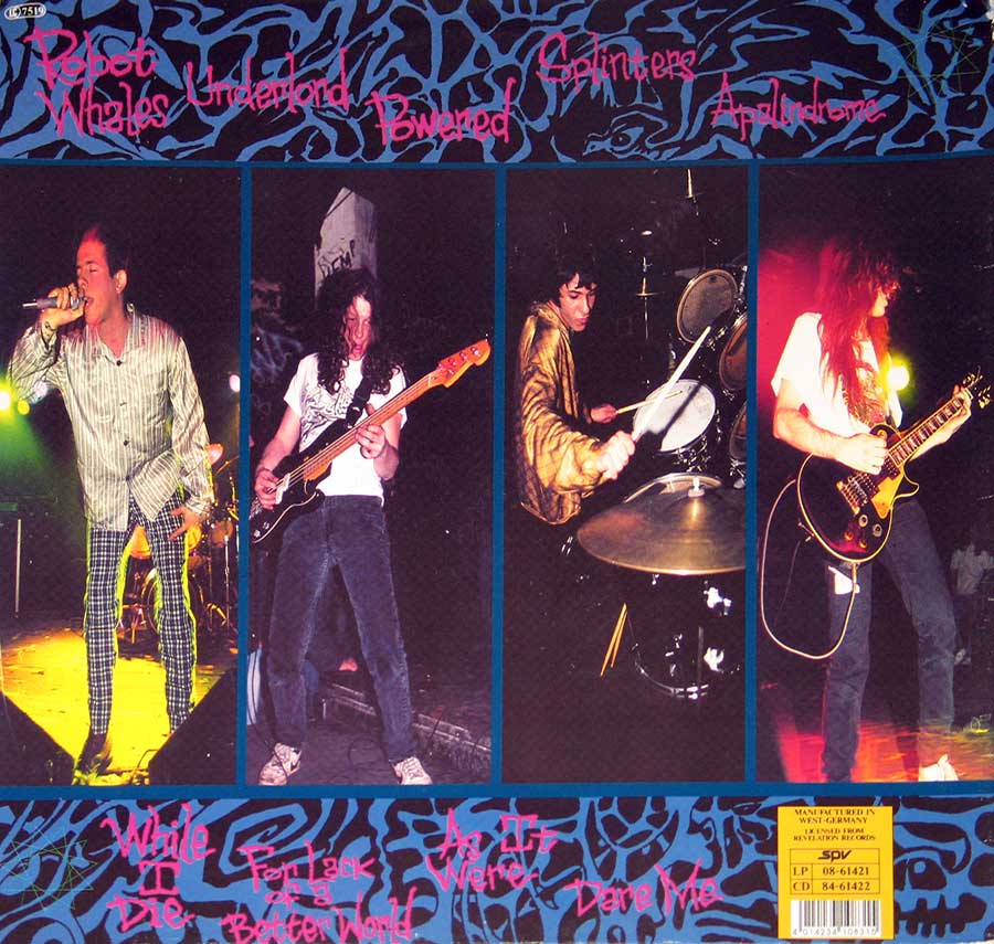 Photo of album back cover INTO ANOTHER - Self-titled 12" Vinyl LP Album