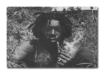 PETER TOSH Reggae on Vinyl