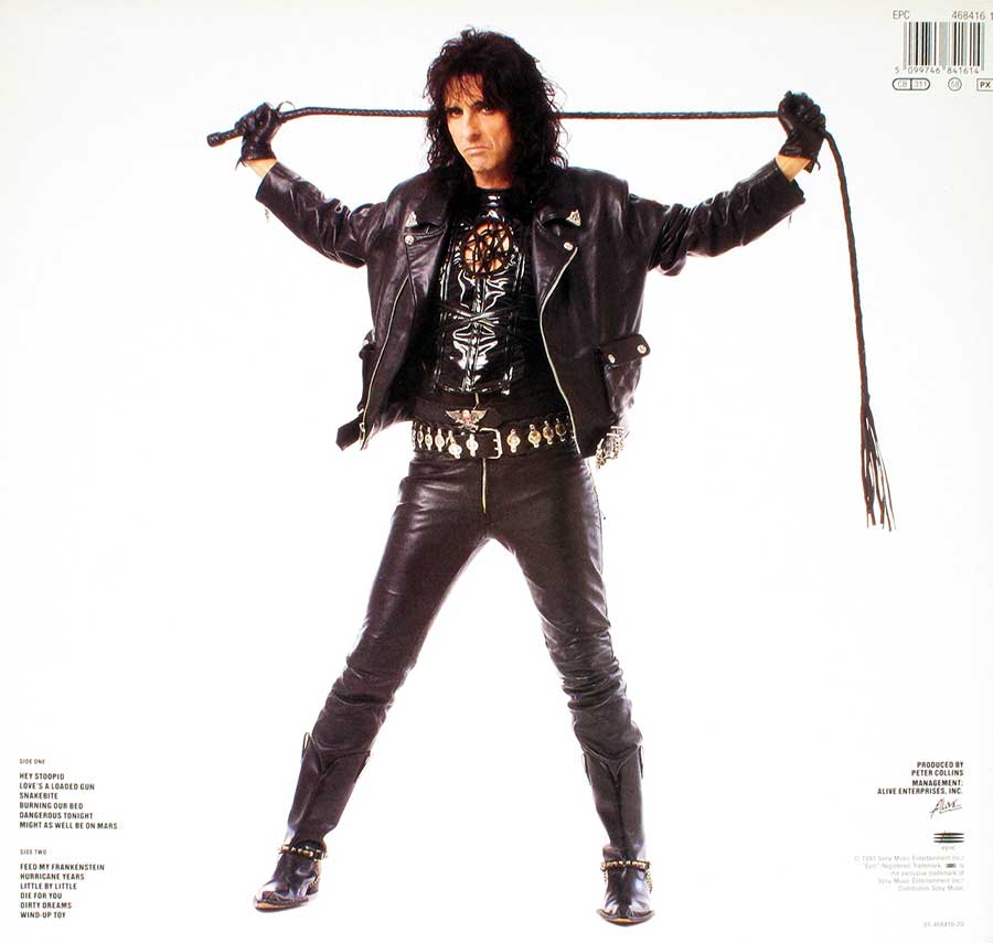 Photo of album back cover ALICE COOPER - Hey Stoopid 12" LP Vinyl Album