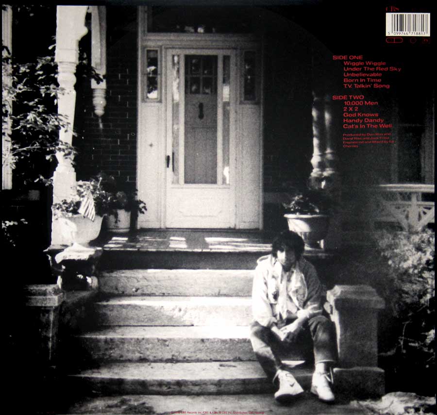 Photo of Bob Dylan - Under The Red Sky Album's Back Cover  